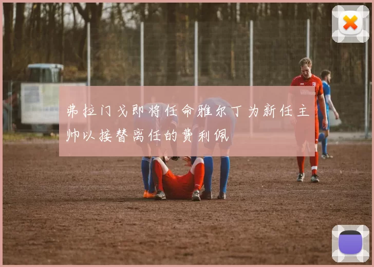 弗拉门戈即将任命雅尔丁为新任主帅以接替离任的费利佩