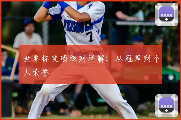 世界杯奖项级别详解:从冠军到个人荣誉