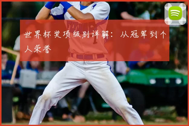 世界杯奖项级别详解：从冠军到个人荣誉