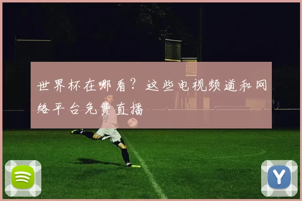 世界杯在哪看？这些电视频道和网络平台免费直播