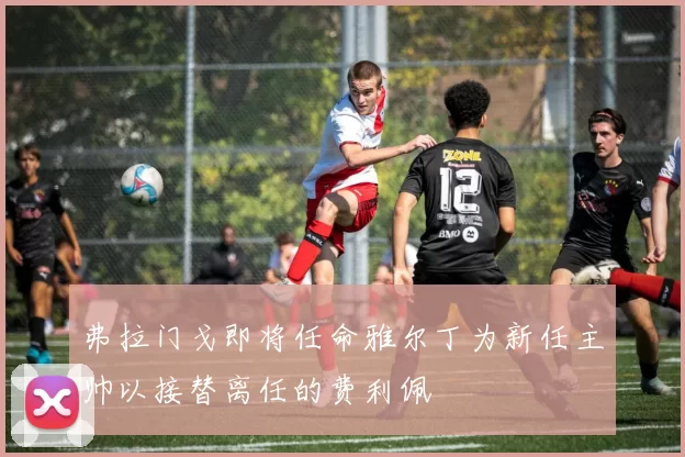 弗拉门戈即将任命雅尔丁为新任主帅以接替离任的费利佩