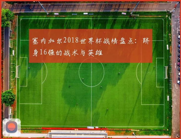 塞内加尔2018世界杯战绩盘点:跻身16强的战术与英雄