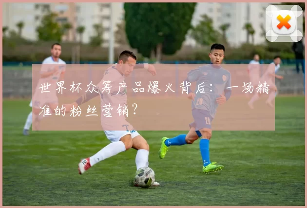 世界杯众筹产品爆火背后:一场精准的粉丝营销?