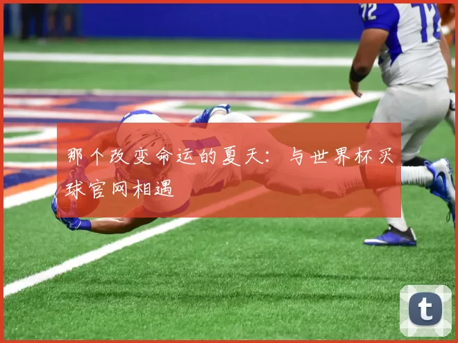 那个改变命运的夏天：与世界杯买球官网相遇