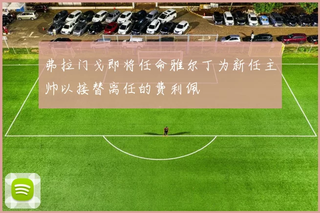 弗拉门戈即将任命雅尔丁为新任主帅以接替离任的费利佩