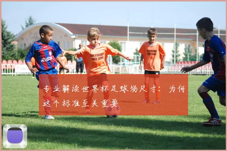 专业解读世界杯足球场尺寸：为何这个标准至关重要
