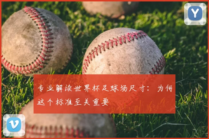 专业解读世界杯足球场尺寸:为何这个标准至关重要
