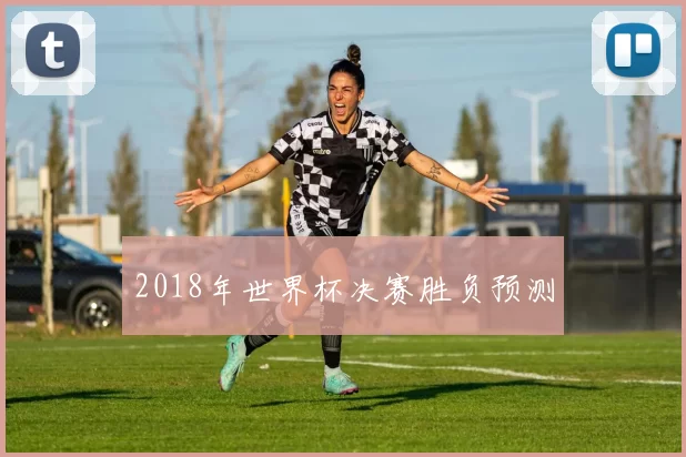 2018年世界杯决赛胜负预测