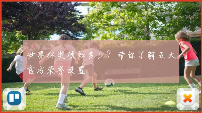 世界杯奖项知多少?带你了解五大官方荣誉设置