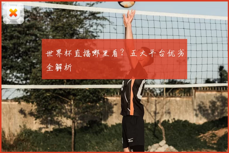 世界杯直播哪里看？五大平台优劣全解析