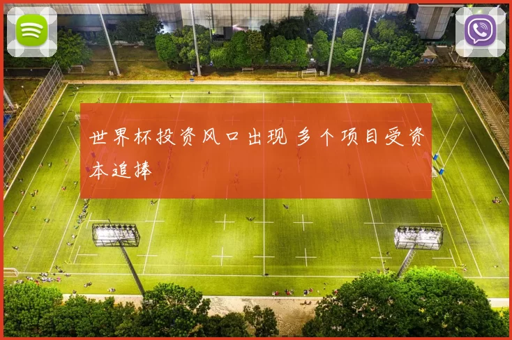 世界杯投资风口出现 多个项目受资本追捧