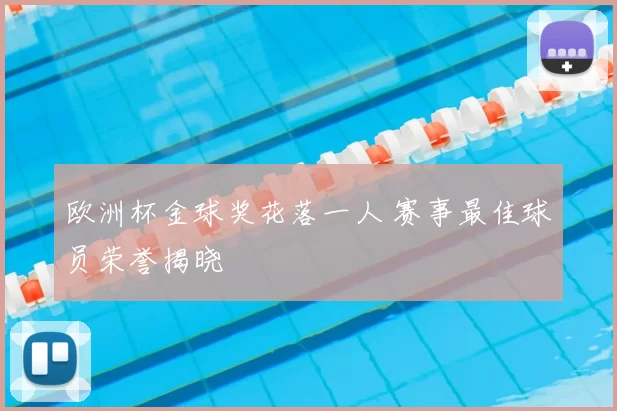 欧洲杯金球奖花落一人 赛事最佳球员荣誉揭晓