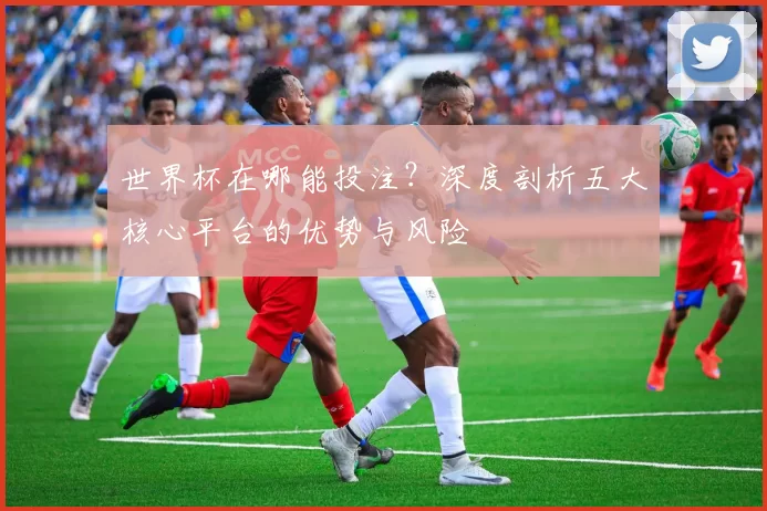 世界杯在哪能投注？深度剖析五大核心平台的优势与风险