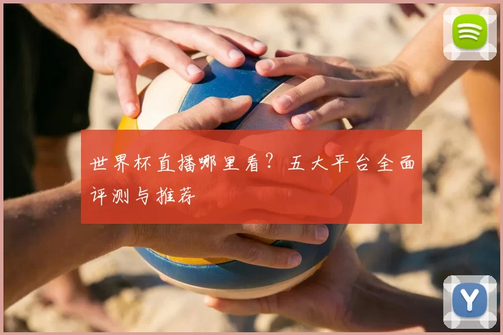 世界杯直播哪里看?五大平台全面评测与推荐