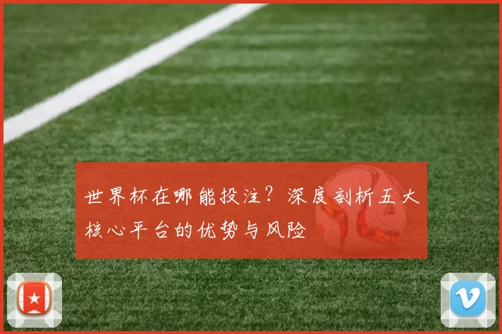 世界杯在哪能投注？深度剖析五大核心平台的优势与风险