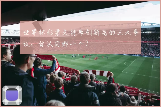 世界杯彩票支持率创新高的三大争议，你认同哪一个？