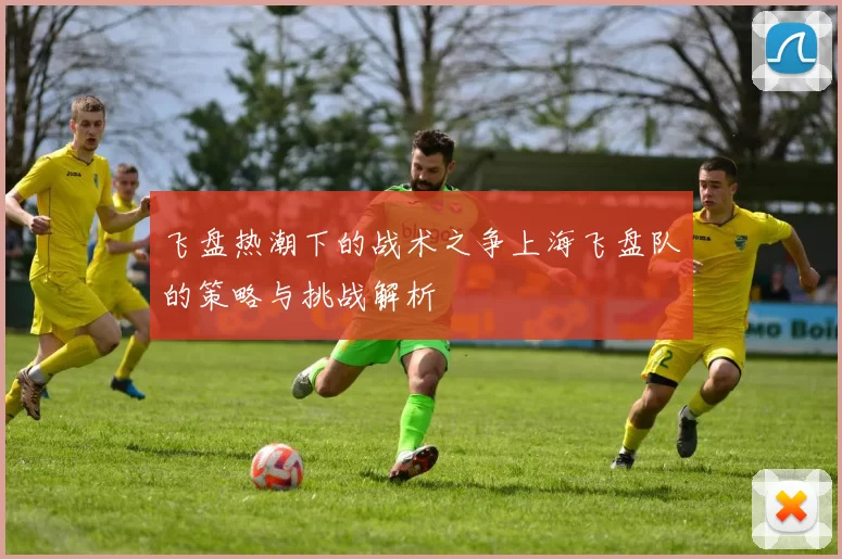 飞盘热潮下的战术之争上海飞盘队的策略与挑战解析