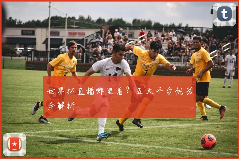 世界杯直播哪里看?五大平台优劣全解析