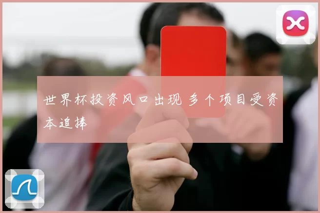 世界杯投资风口出现 多个项目受资本追捧