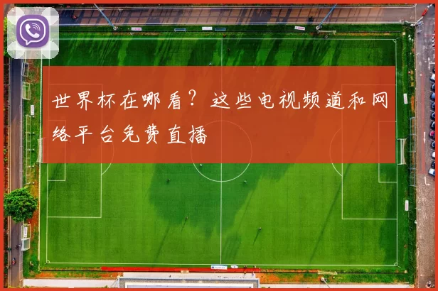 世界杯在哪看?这些电视频道和网络平台免费直播