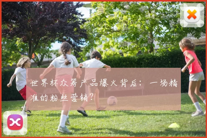世界杯众筹产品爆火背后：一场精准的粉丝营销？