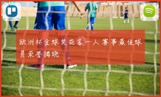 欧洲杯金球奖花落一人 赛事最佳球员荣誉揭晓