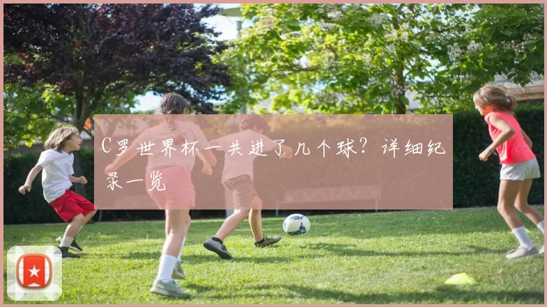 C罗世界杯一共进了几个球?详细纪录一览