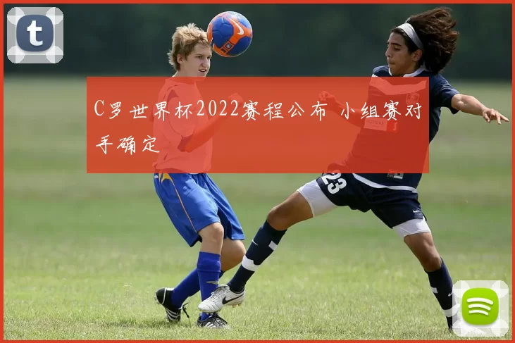 C罗世界杯2022赛程公布 小组赛对手确定