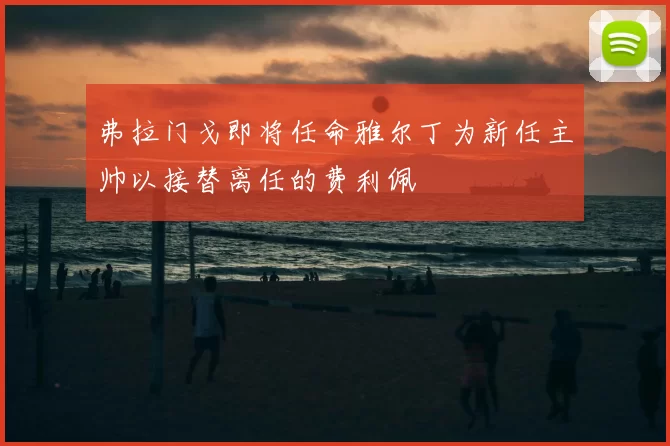 弗拉门戈即将任命雅尔丁为新任主帅以接替离任的费利佩