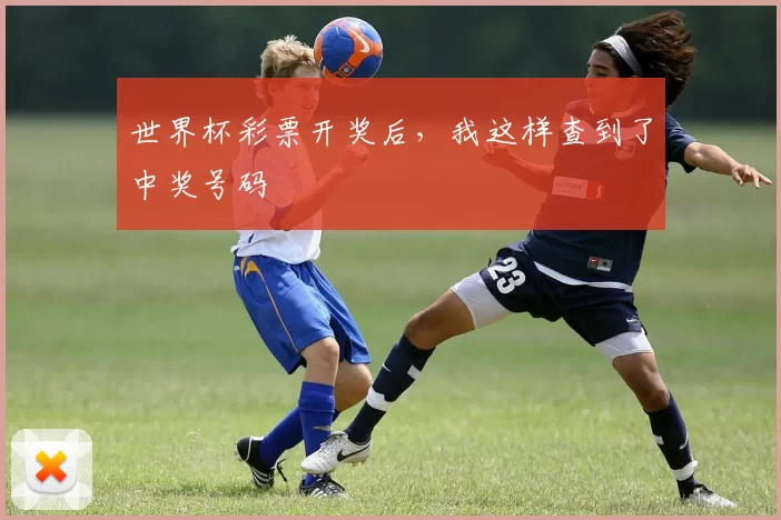 世界杯彩票开奖后，我这样查到了中奖号码